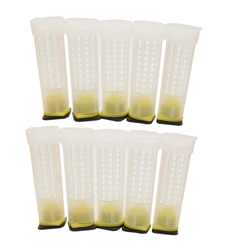 Wholesale Beekeeping Queen Bee Rearing System Protection Cages