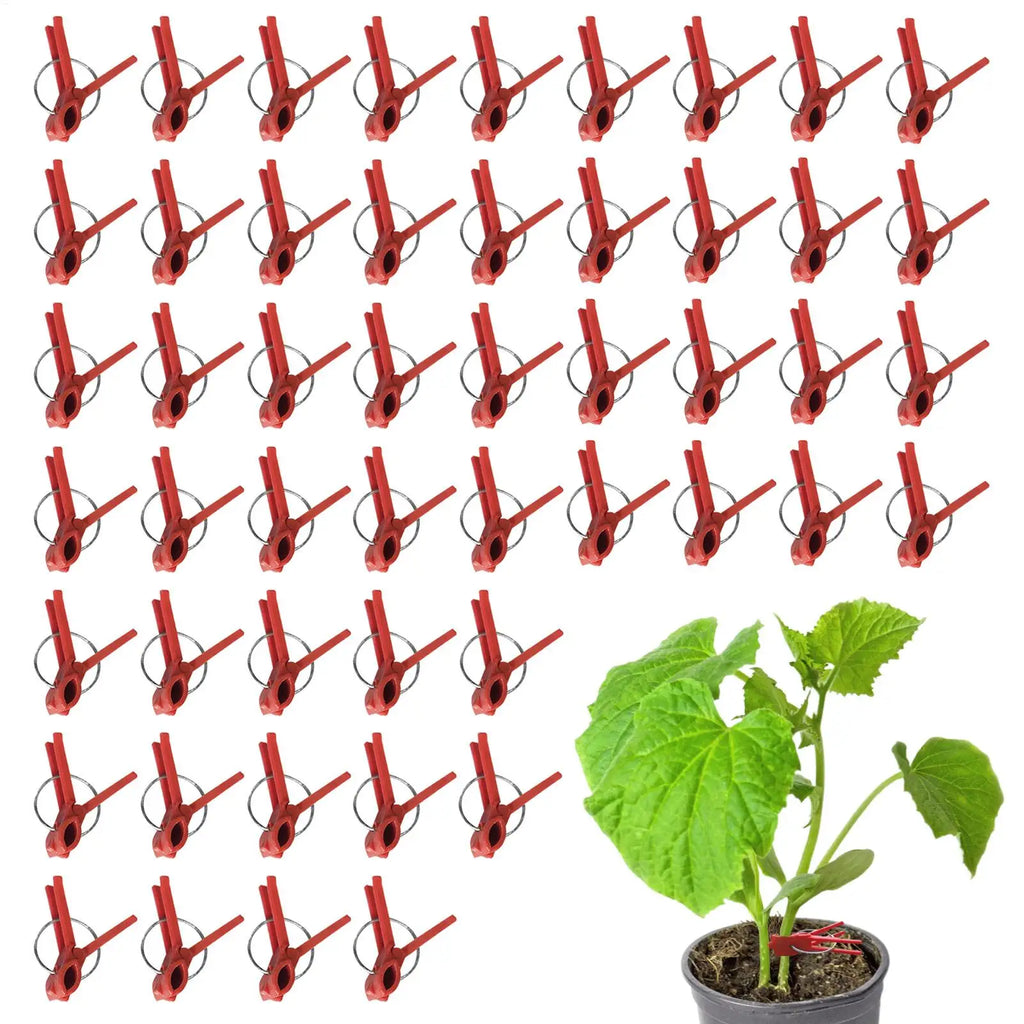 Grafting Clips Pack Of 50 Horticulture Grafting Clamp Falt Mouth Hooks Connecting For Vegetables Watermelon Gardening Tool Zpaxo