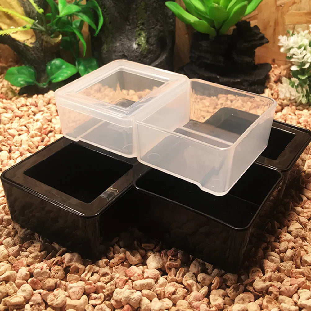 Reptile Breeding Boxes Black Insect Feeding Container Ventilated