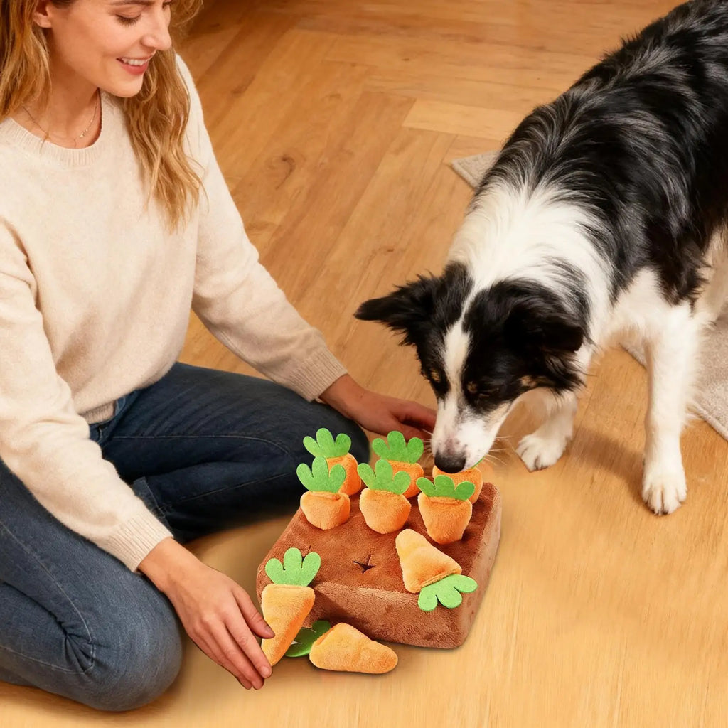 Sniff Mat Dogs Interactive Feeding Games Carrots Puppy Snuffle Mental