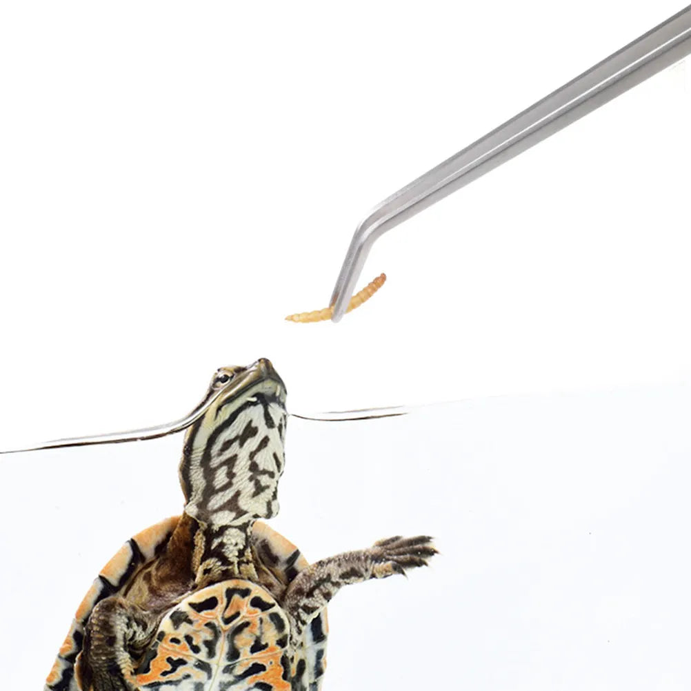 Reptile Feeding Tweezers Eco-friendly Lightweight Flexible