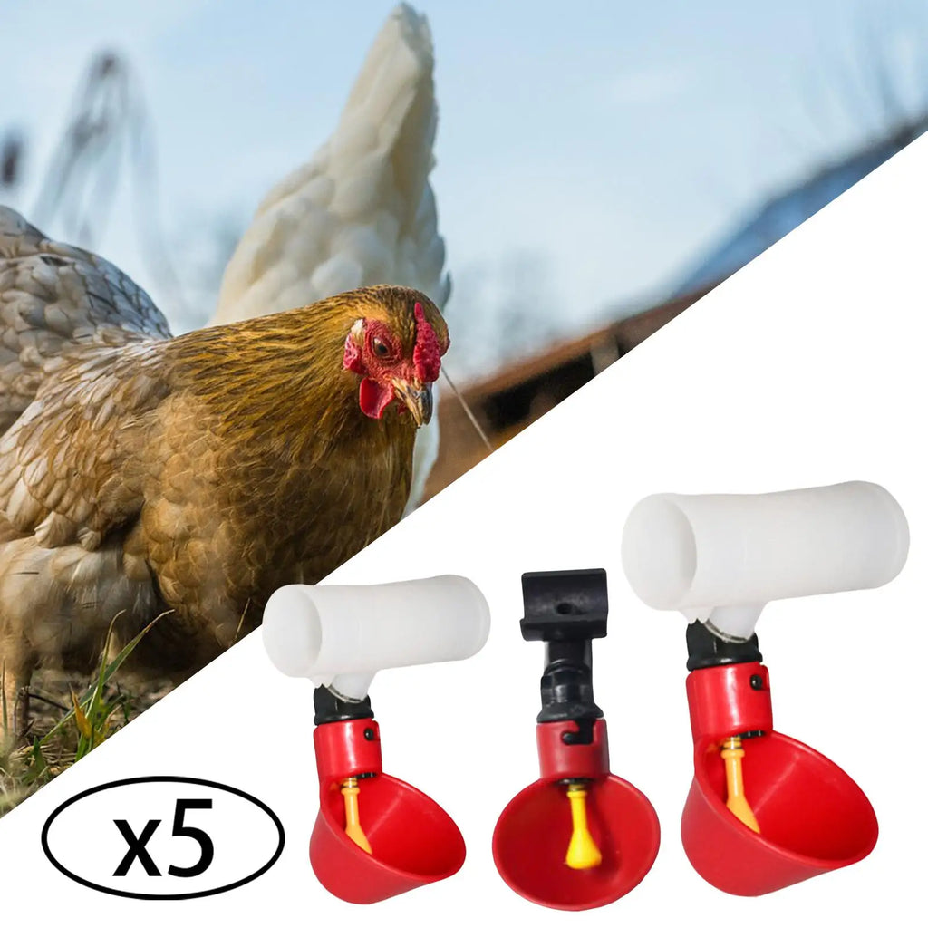 5 Pieces Automatic Chicken , Waterers Cups, Plastic Bowls Feeder Watering Cups for Chicks Poultry Supplies Hen Backyard Zpaxo
