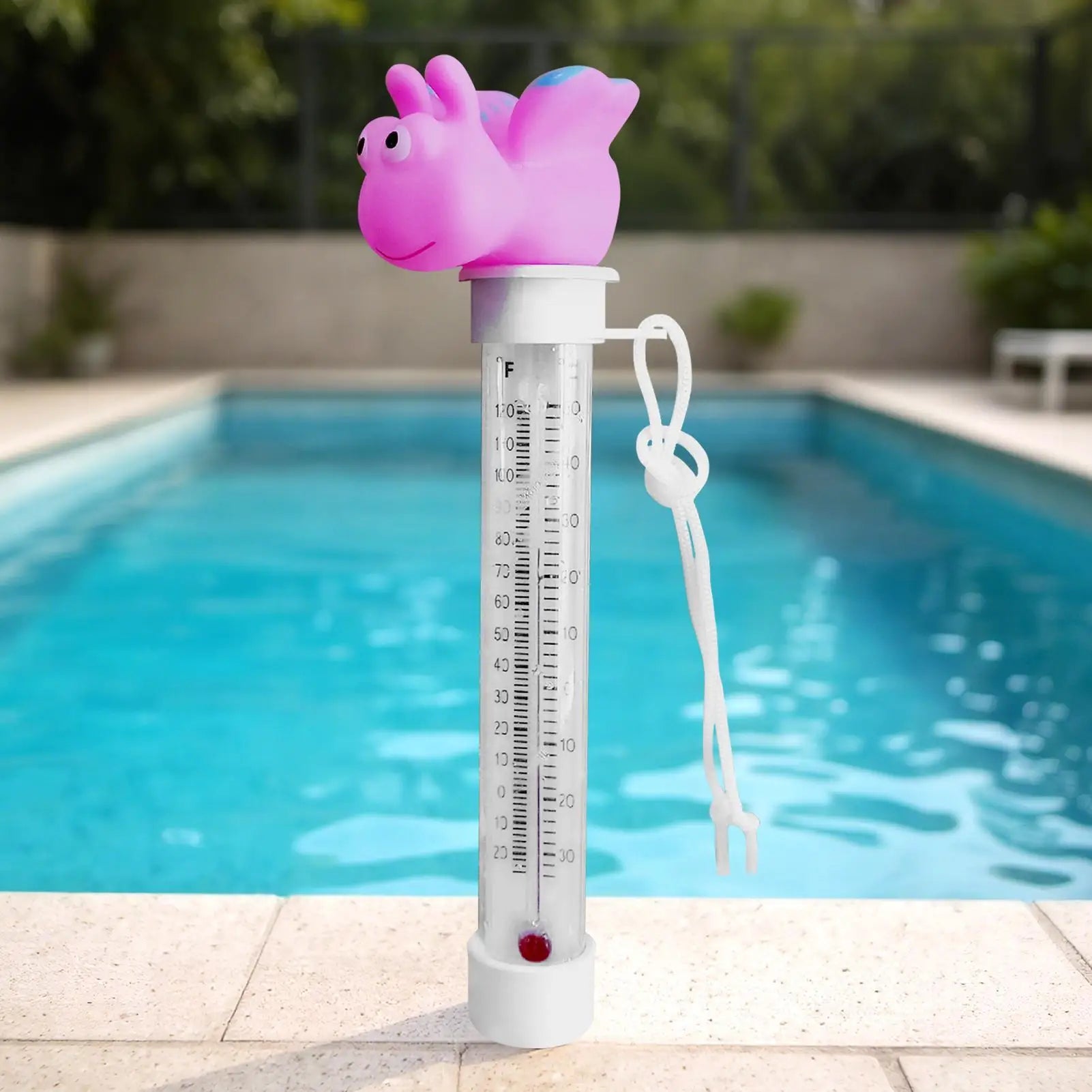 Floating Pool Gauge Cartoon Temperature Double Scale Display Temp Zpaxo