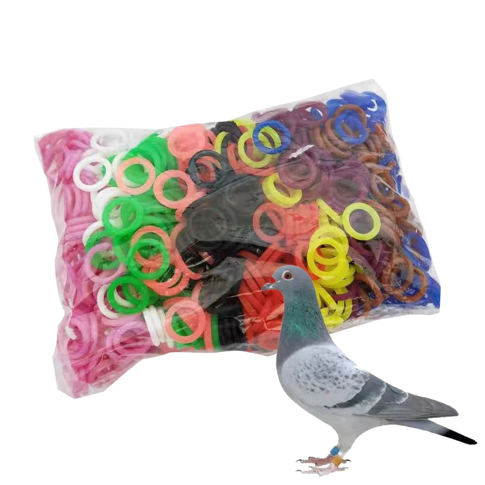 Mixed Colors Pigeon Bird Foot Rings Identification Quails Pigeons