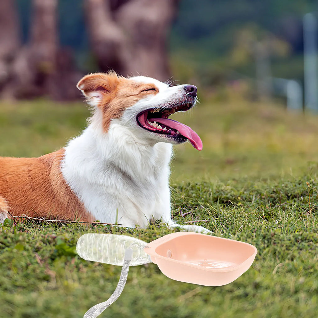 Pet Water Bowl Adapter Portable Dog Bottle Outdoor Travel