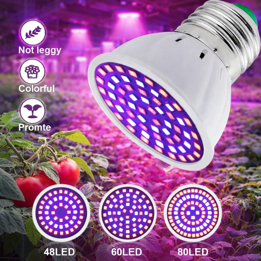 LED Grow Light Bulb E27 220V Full Spectrum 60/80LED Plant Lamp for Indoor Garden Seedling Greenhouse Hydroponics Grow Tent Zpaxo