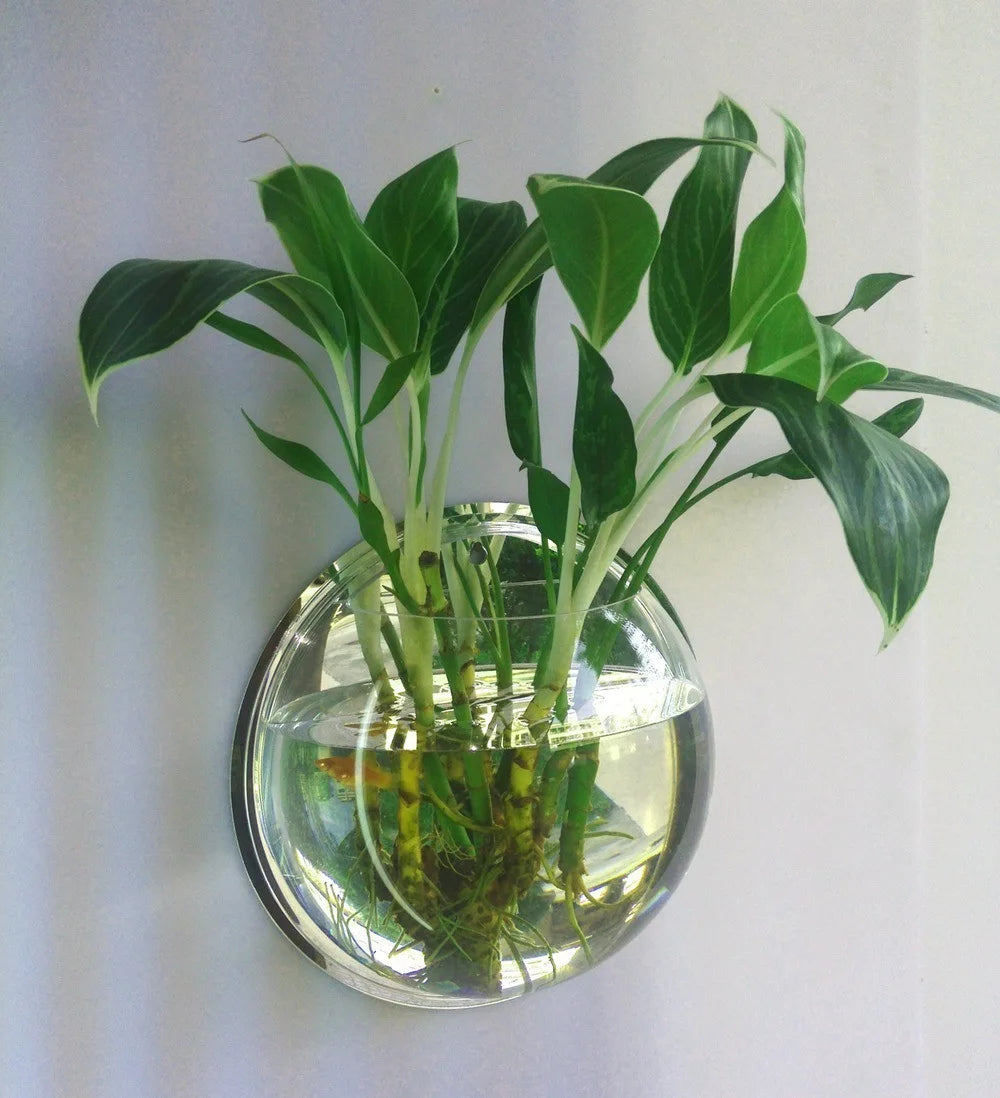 Glass Wall-mounted Plant Greenhouse Propagation Station Vase Air Home