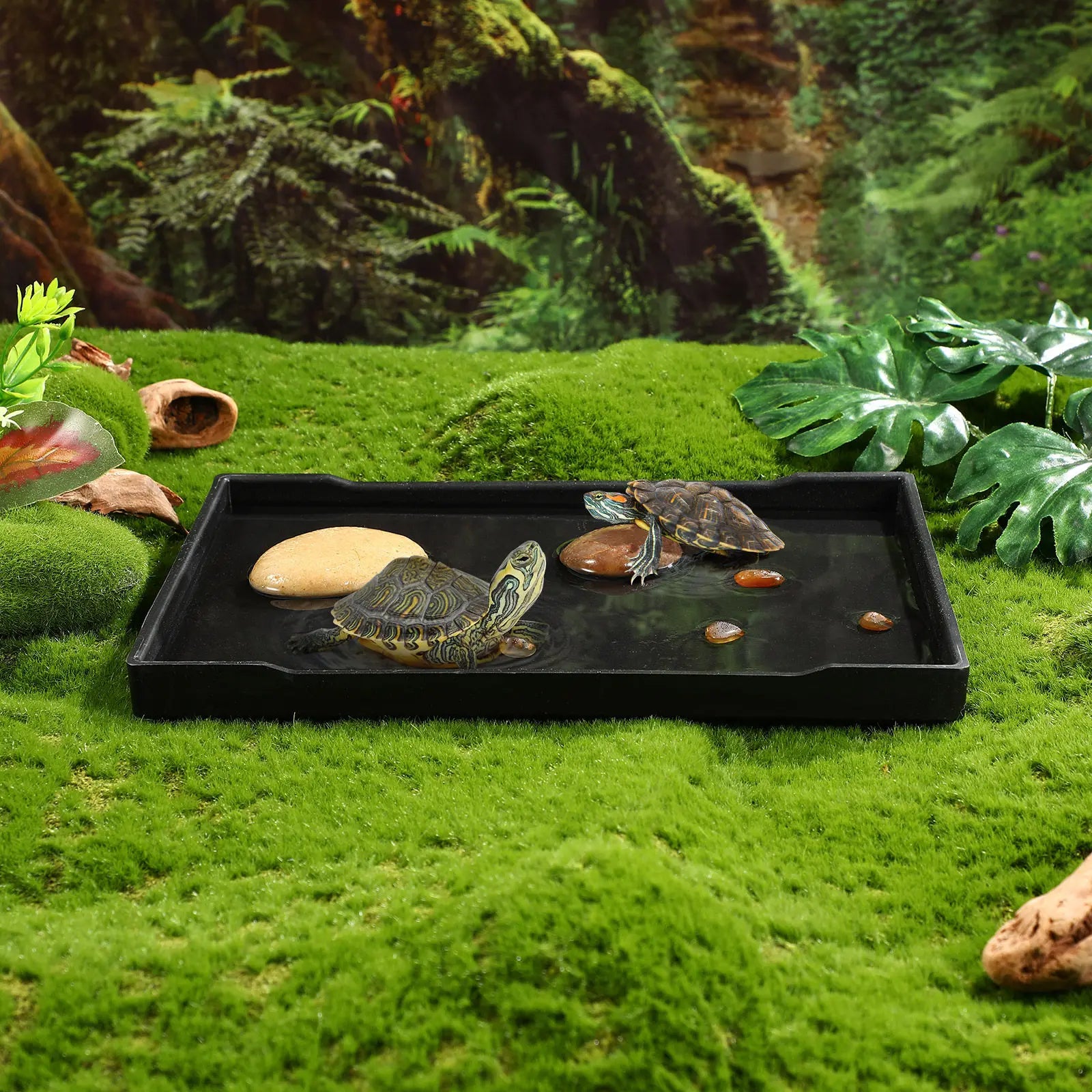 Tortoise Food Dish Solid Reptile Feeding Bowl Shallow Water Lizard