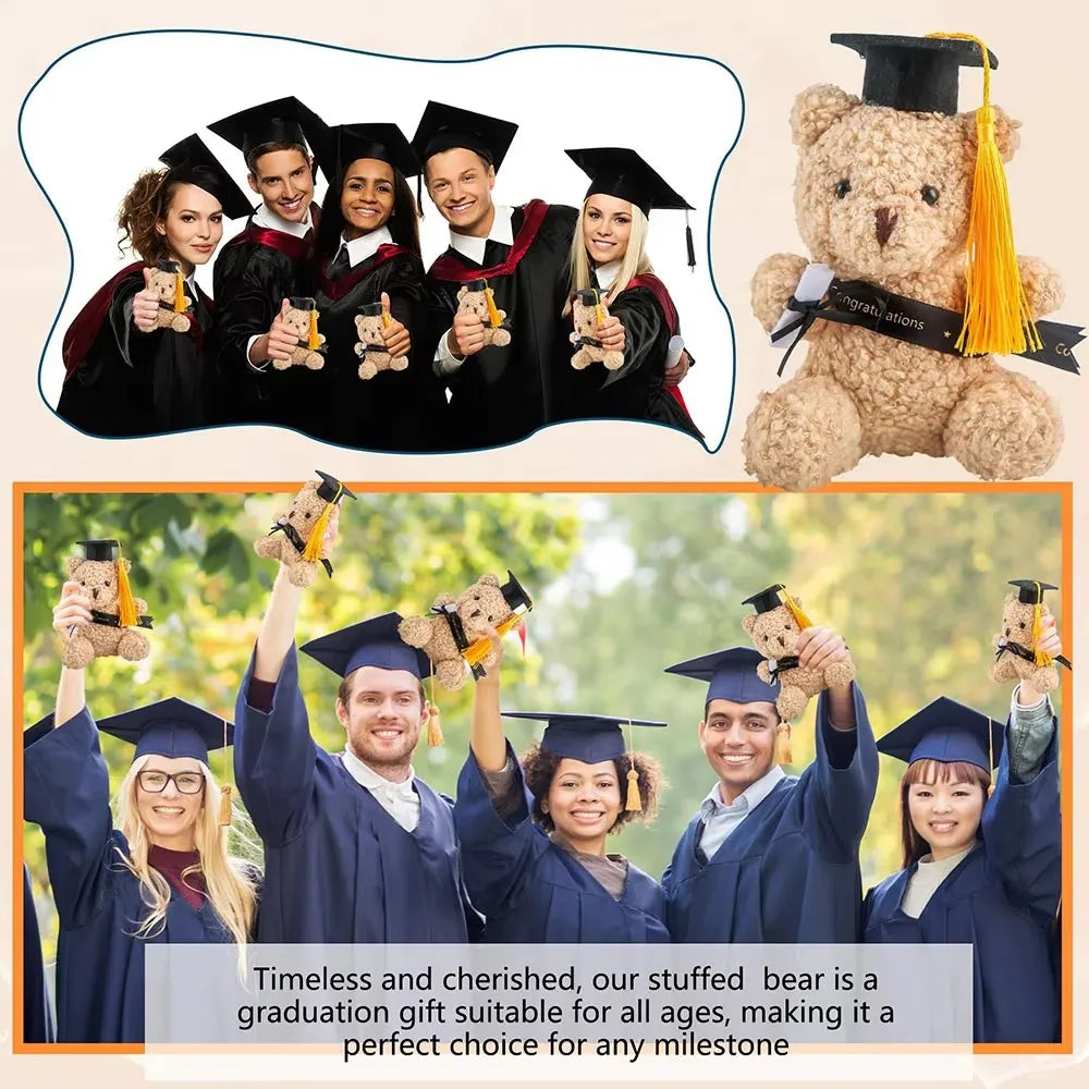 Graduation Bear Plush Bears Pink Stuffed Graduate Student Souvenir