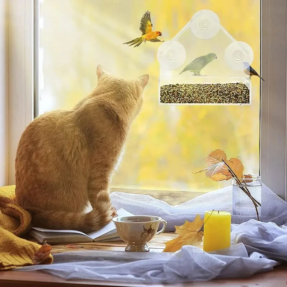 House Transparent Window Wild Bird Feeder Outdoor Removable Suction