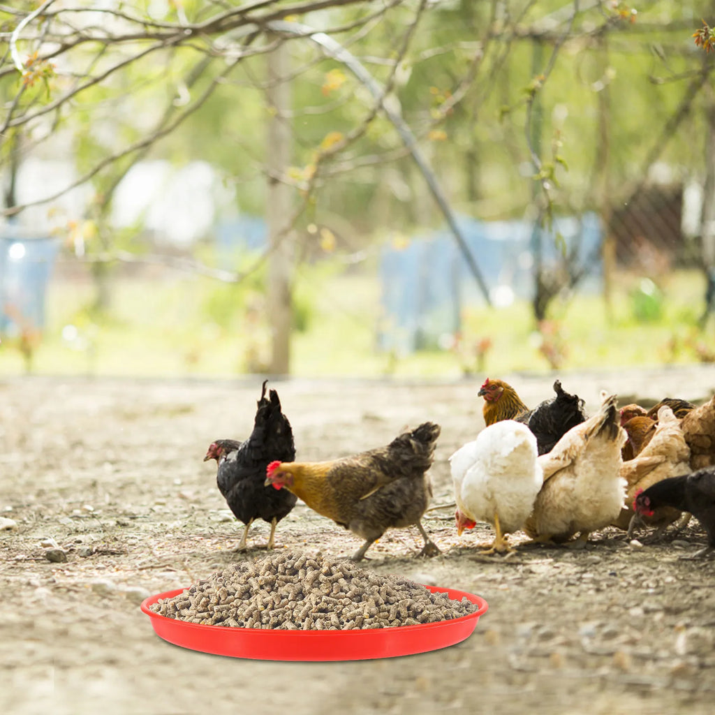 Premium Plastic Poultry Feeder Tray Sturdy Spill-proof Design Chick
