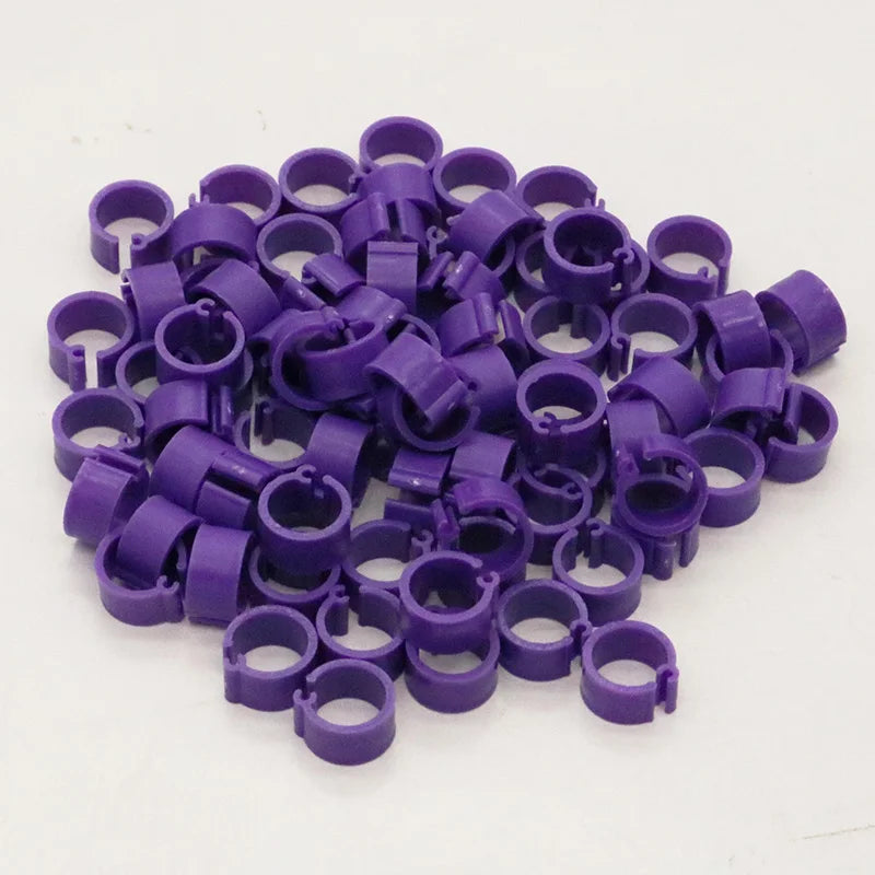 Birds Feet Rings Inner Diameter Width Plastic Clip Ring Pigeon Dove Zpaxo PURPLE