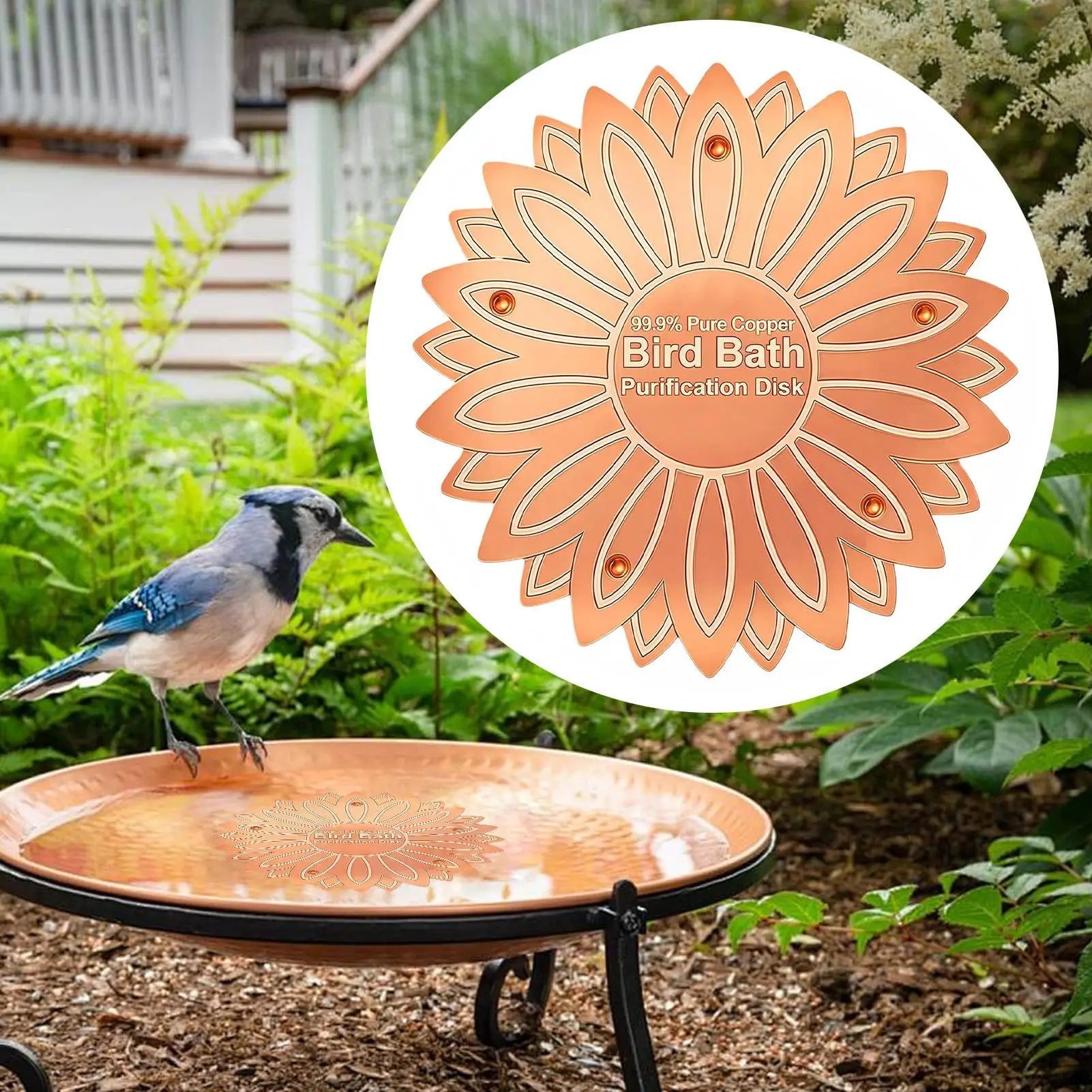 Bird Bath Copper Purification Panel Flower Shape Physical Safe Water