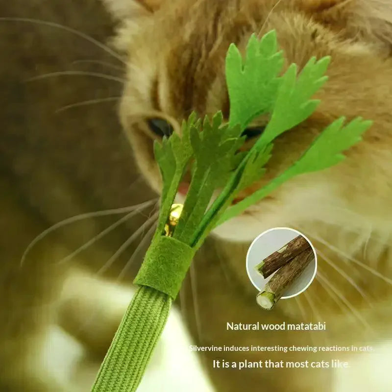 Cat Chew Toys Catnip Teeth Cleaning Toy Interactive Self Playing Zpaxo