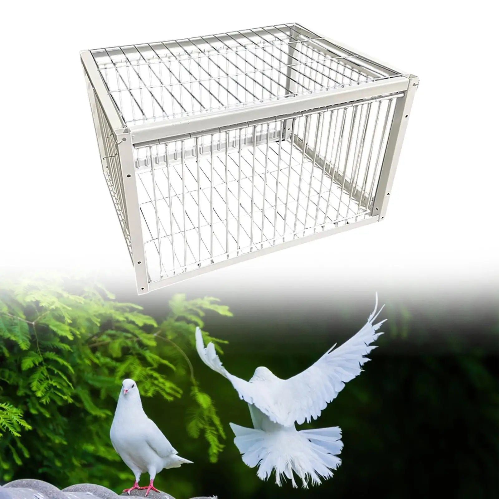Pigeon Trap Humane Poultry Care Single Way Entry Metal Welding Coop Zpaxo