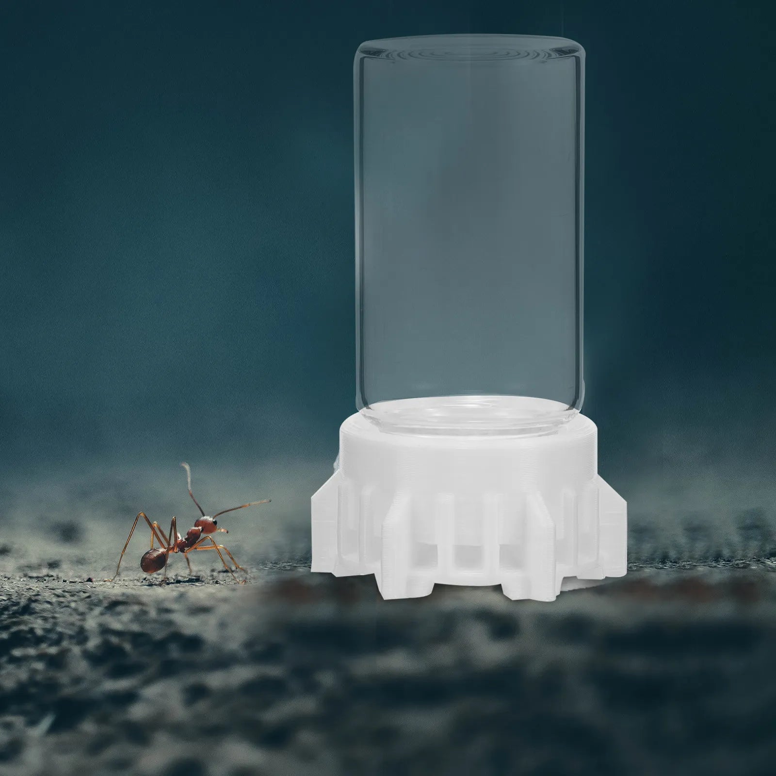 Ant Waterer Cup Stability Reusable Ants Garden Accessories Simple