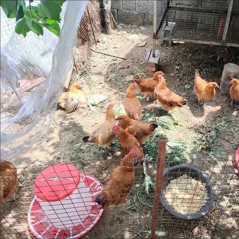 1 3 Automatic Chicken Feeder Bucket Rooster Hen Feeding Device Farm