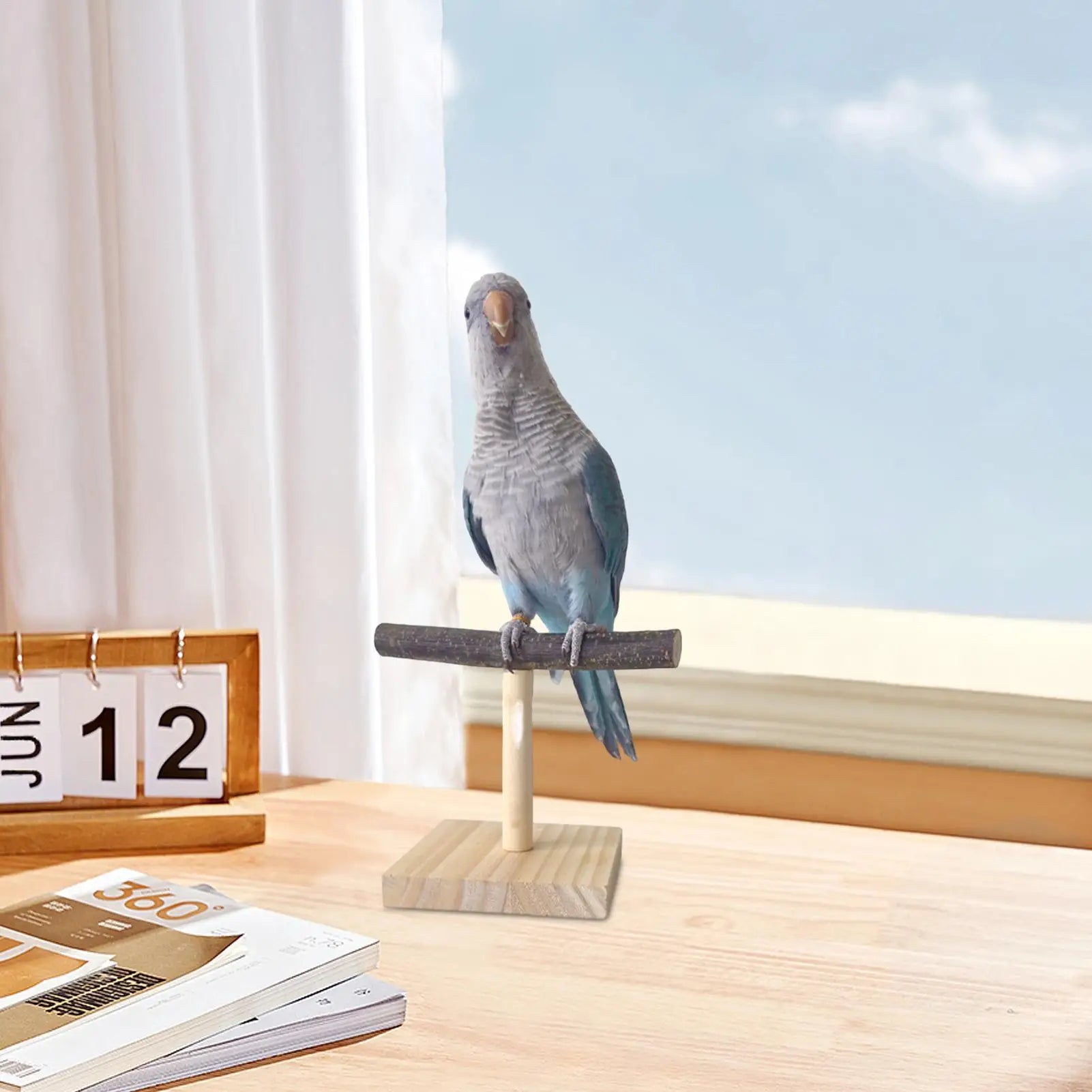 Natural Wood Parrot Perch Stand T Shape Desktop Bird Training Branch