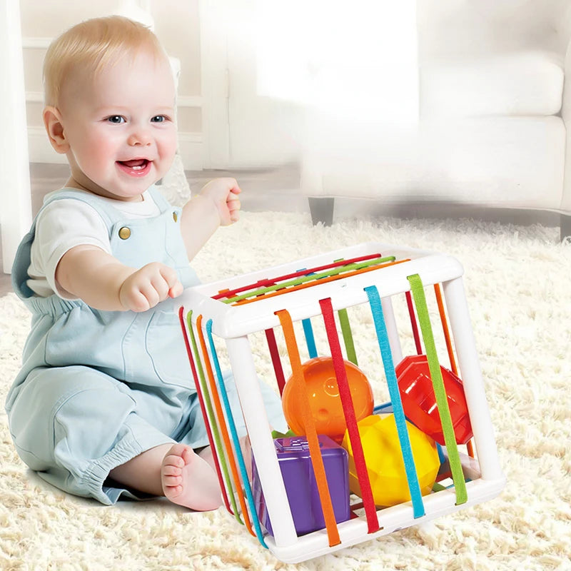 Montessori Toys Children 0-12 Months Early Education Rainbow Cesare
