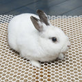 Protective Pet Cage Mat Hollow Mesh Design Anti-skid Wear Resistant