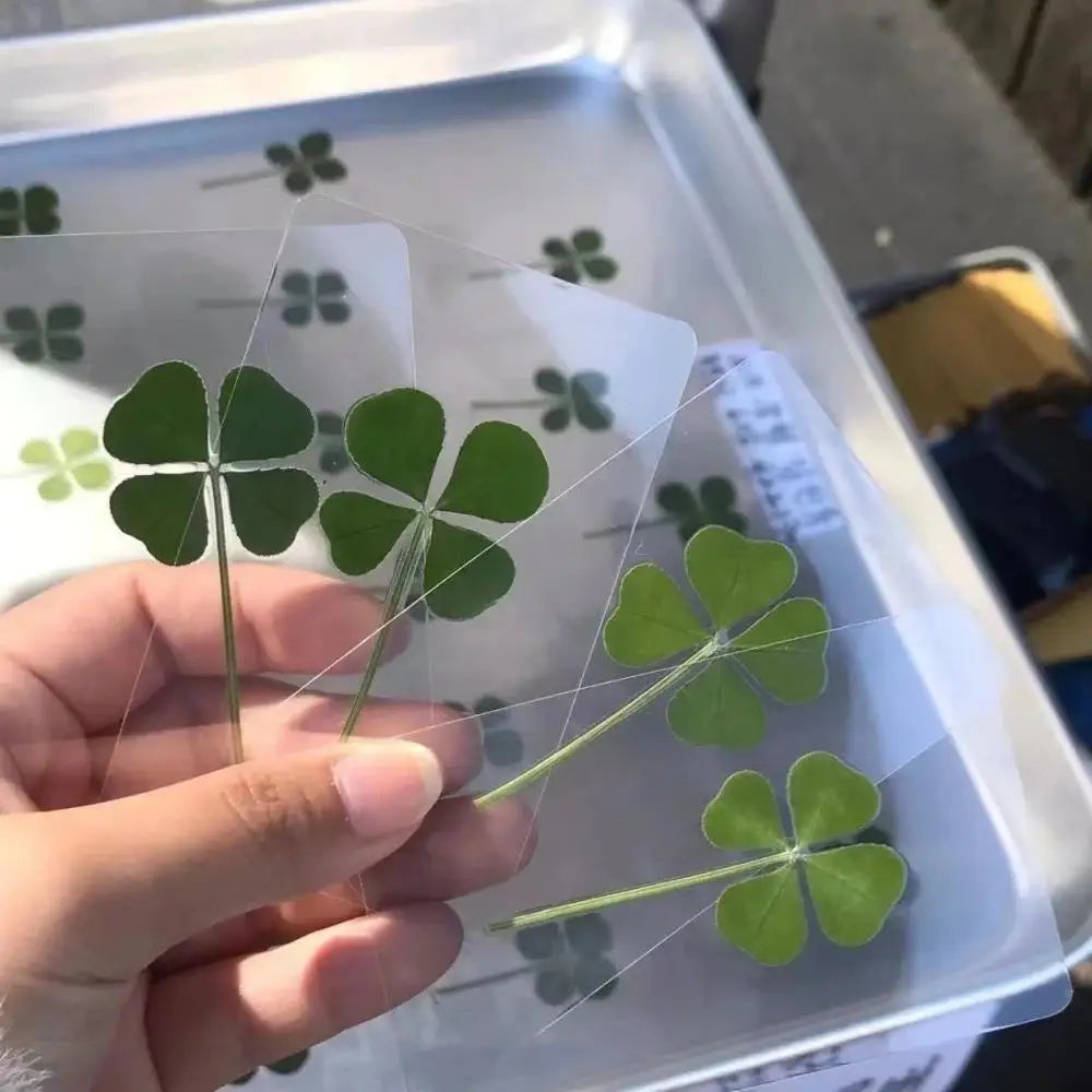 Lucky Four-leaf Clover Postcards Grass Acrylic Transparent Wishing Zpaxo