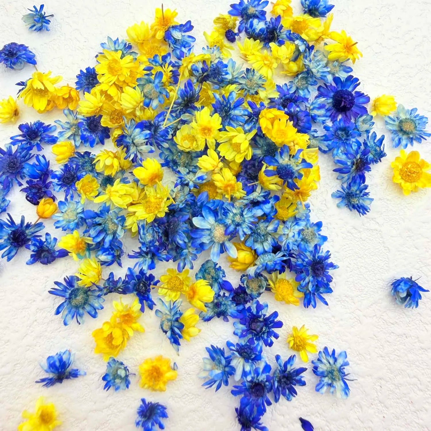 1BOX DIY Flowers Handmade Craft For Nail Art Resin Mold Fillings Candle making Jewelry Resin Phone Case Craft Decoration Zpaxo