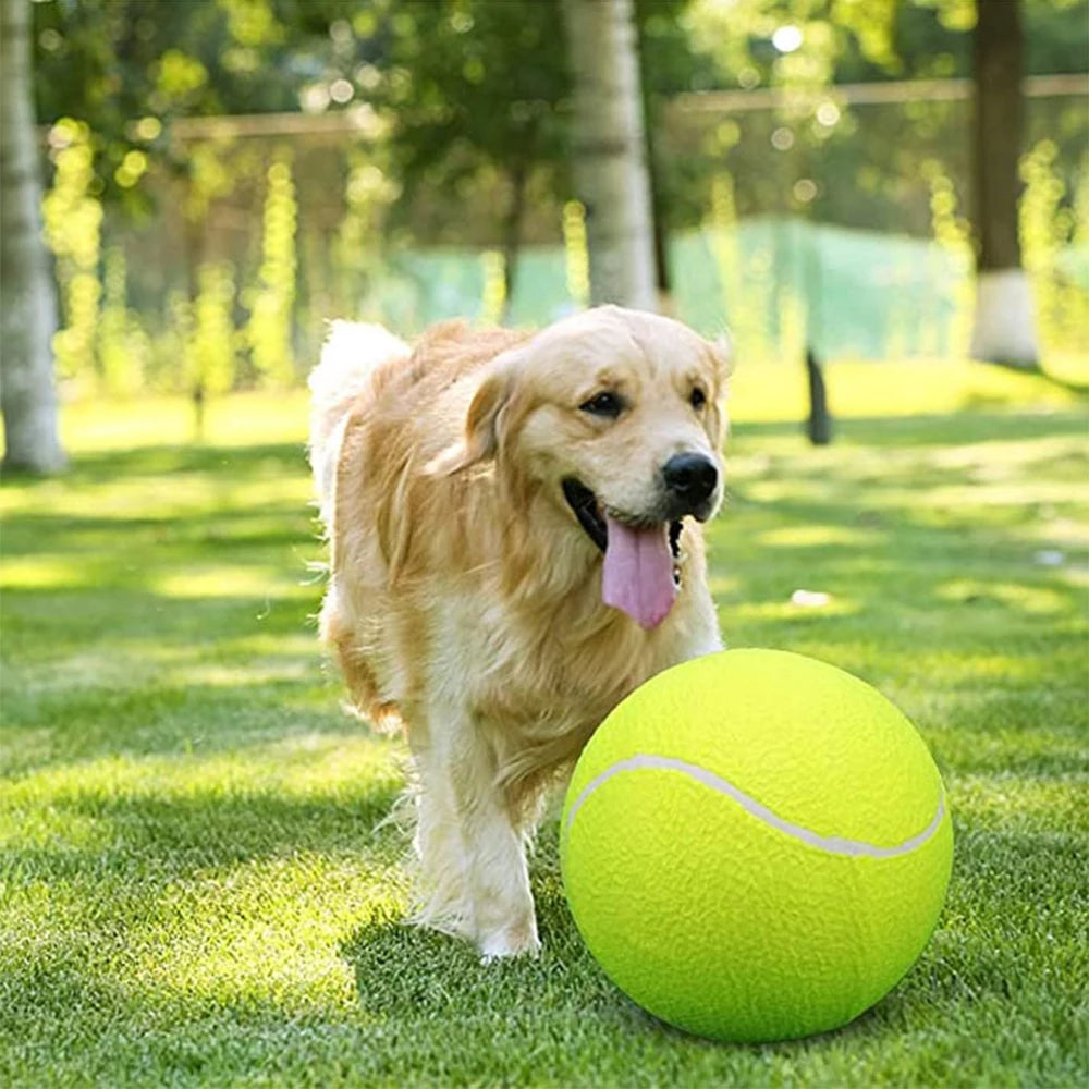 Dog Tennis Ball 24cm/9.5Inch Pet Tennis Ball Thrower For Training Interactive Large Dog Toy for Outdoor/Indoor Sports Dog Gift Zpaxo