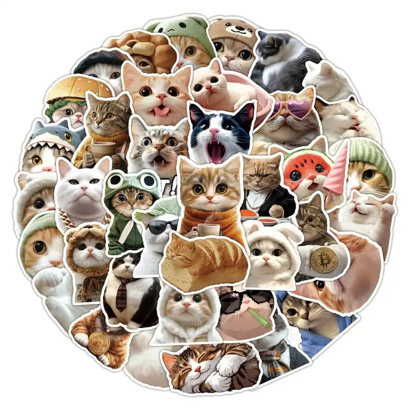 Cat Stickers For Kids Funny Kitten Stickers Waterproof Water Bottle Decals Laptop Supplies For Luggage Guitar Notebooks Zpaxo