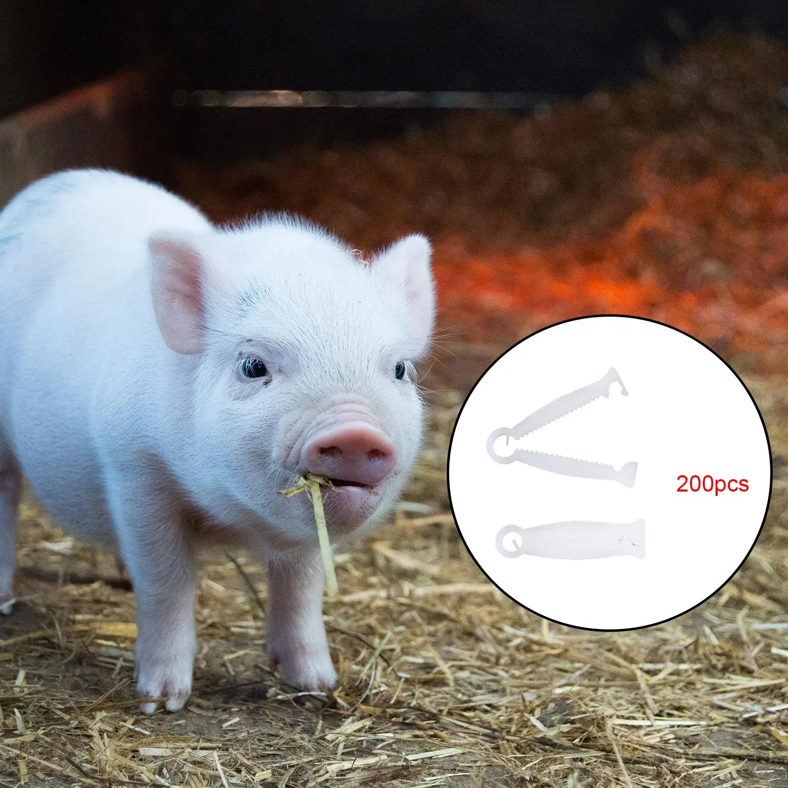 200Pcs Disposable Whelping Kits Multipurpose Portable Practical Pig Umbilical Cord Clip for sheep Sheep Cow Farming Pigs Zpaxo
