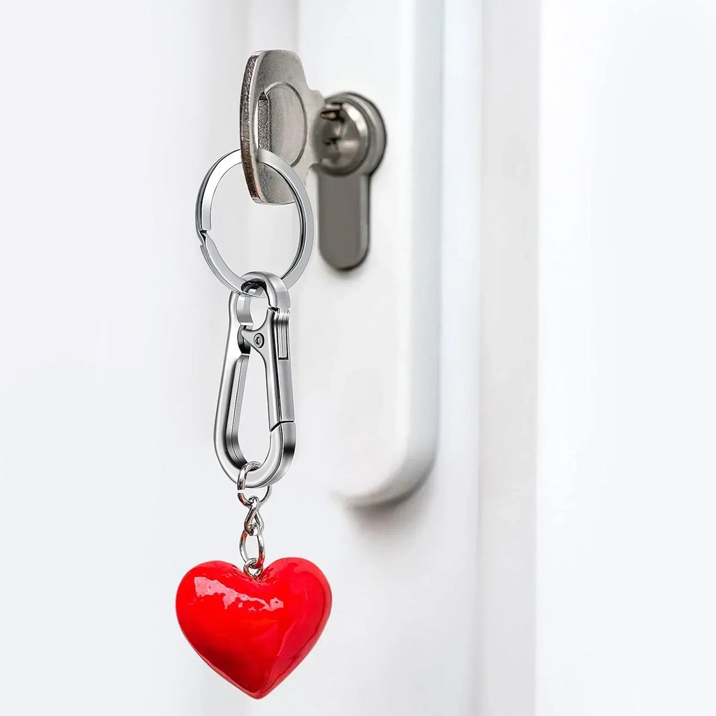 4-Pack Metal Carabiner Clip Keychain & Key Ring Holder Set