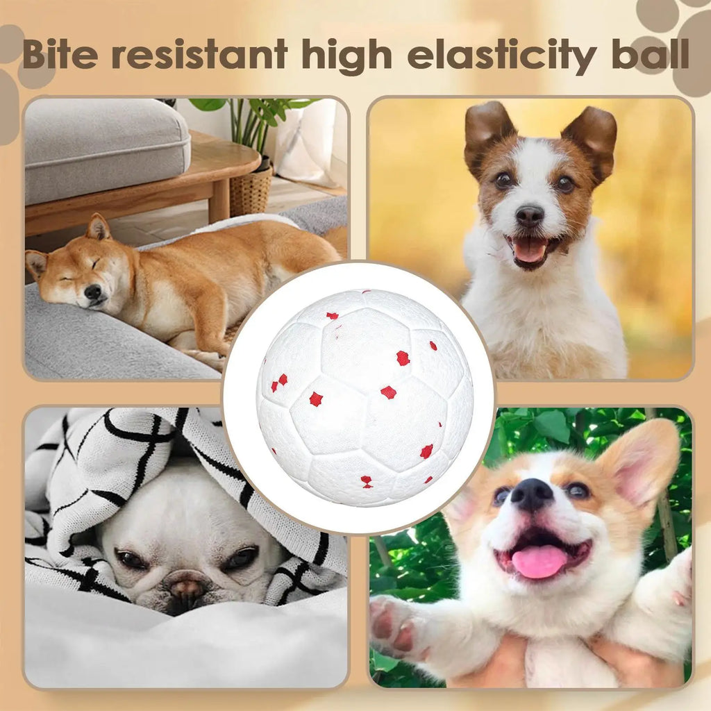 Pet Toy Dog Ball Elastic Interactive Teeth Cleaning Chewers Toy Soccer Ball For Living Room Balcony Yard Garden Camping Travel Zpaxo