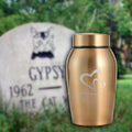 Pet Urns Burial Casket Keepsake Case Memory Cremation Memorial Urn for Dogs Ashes Small Animal Cats Ashes Keeping Precious Zpaxo Gold