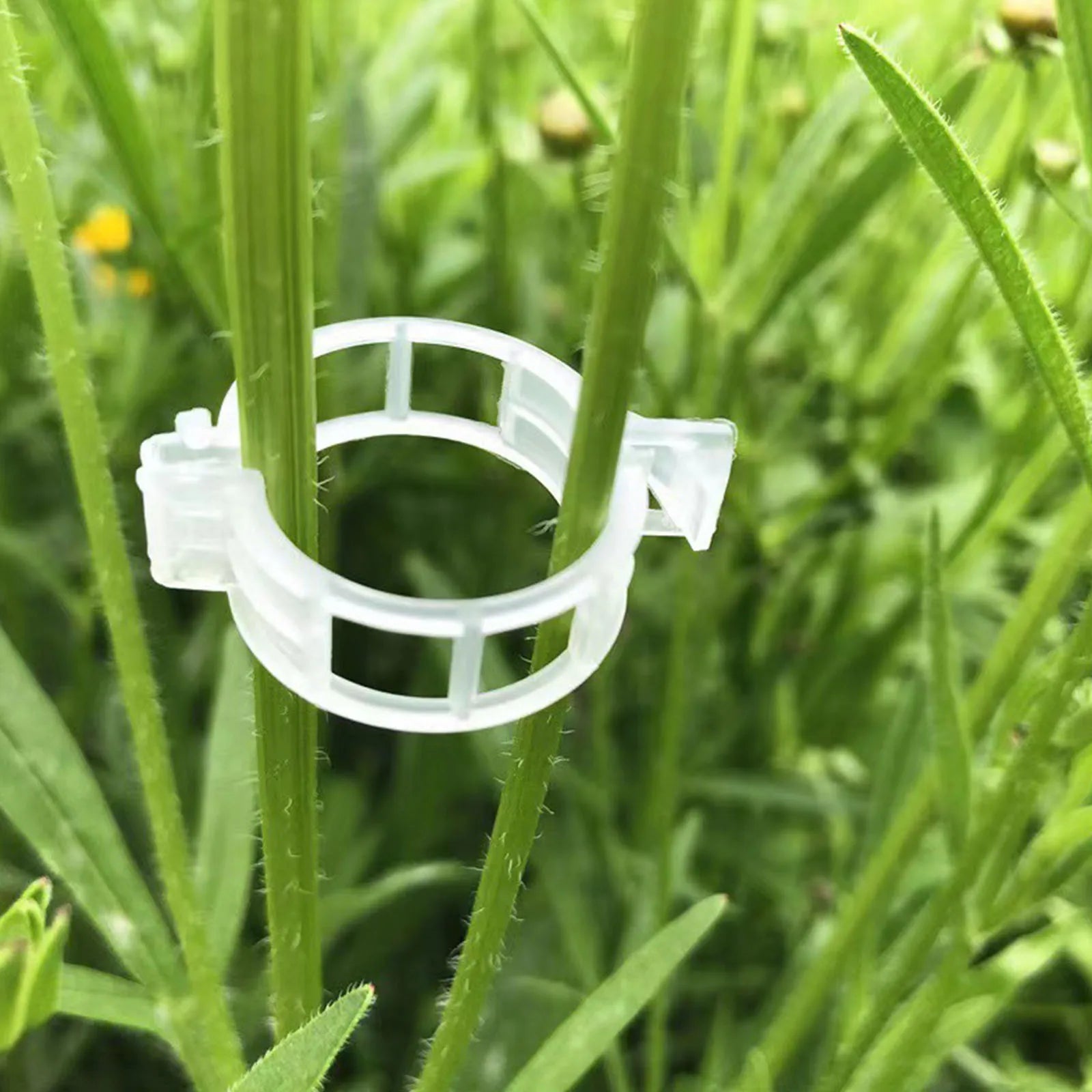 Secured Plastic Tomato Clips for Securing Garden Clips Reusable Easy To Use for Climbing Plants Grape Vine Vegetables Stems Zpaxo