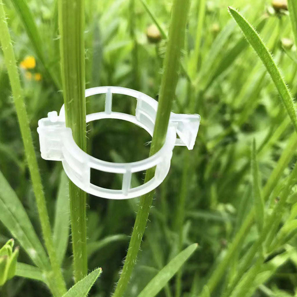 Secured Plastic Tomato Clips Securing Garden Reusable Easy Use