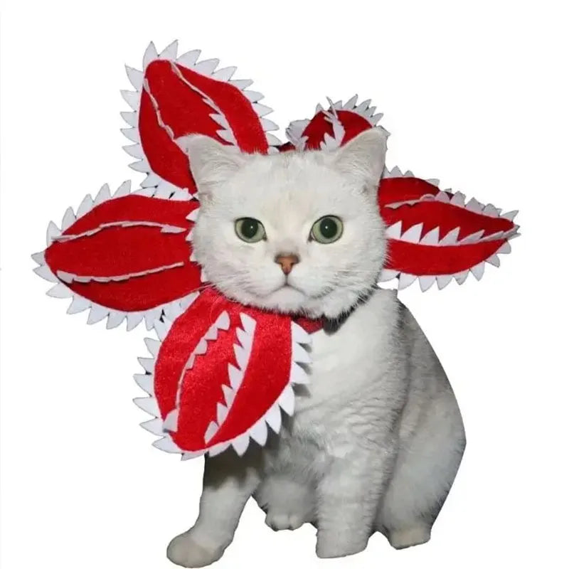 Funny Cat Hat Piranha Costume Pet Accessories Dog Adjustable