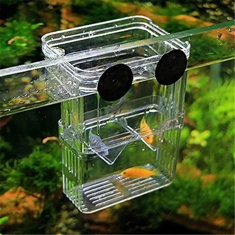 Aquarium Fish Breeder Box Durable Betta Tank Breeding Isolation