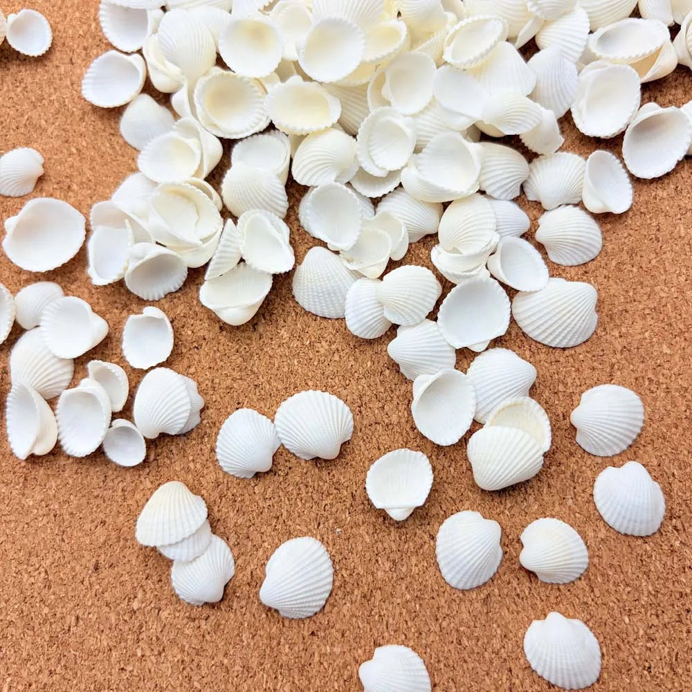 200pcs about 60g Tiny Sea Shells White Clam Shells for DIY Craft, Jewelry Making, Home Decor, Vase Fillers Fish Tank Vase Filler Zpaxo