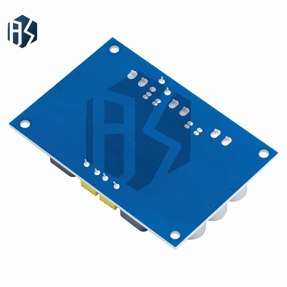XH-M542 TPA3116 D2 Digital Power Amplifier Board 100W Mono Audio Zpaxo