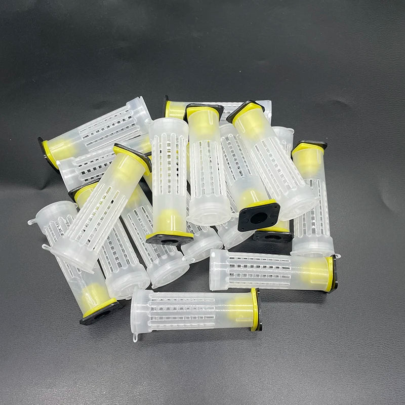 Wholesale Beekeeping Queen Bee Rearing System Protection Cages