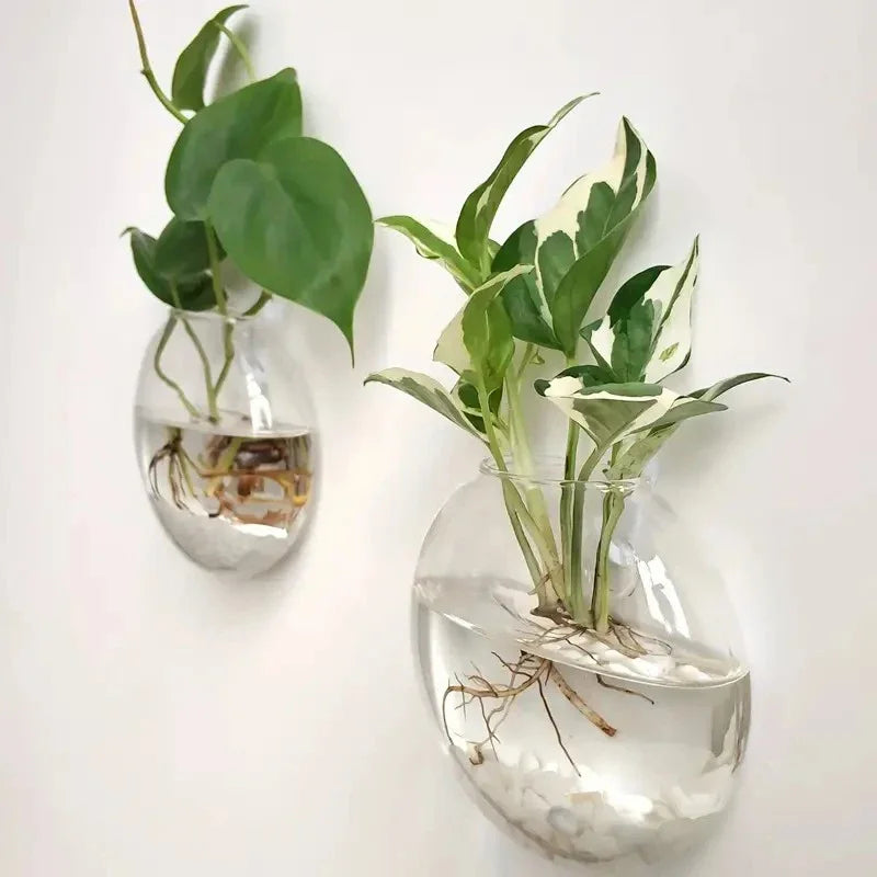 Glass Wall-mounted Plant Greenhouse Propagation Station Vase Air Home