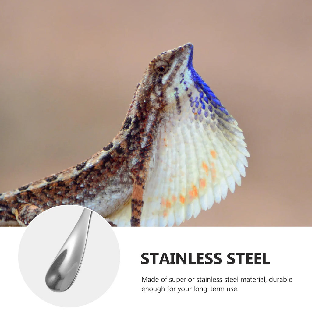 Pet Food Scoop Stainless Steel Small Animal Feeding Spoon Portable
