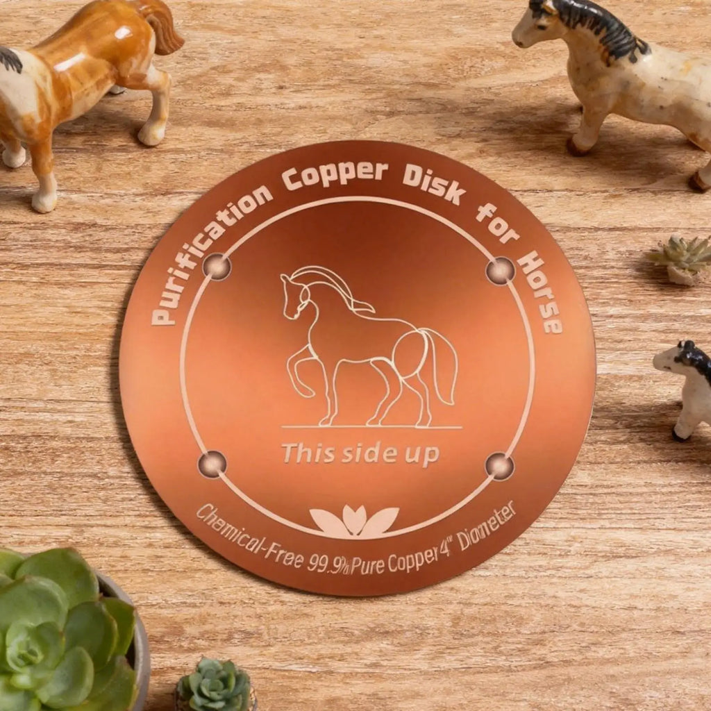 Bird Bath Copper Disk bird bath purification tray Metal Cleaner Disks Feeder Accessories For Water Bowl Zpaxo