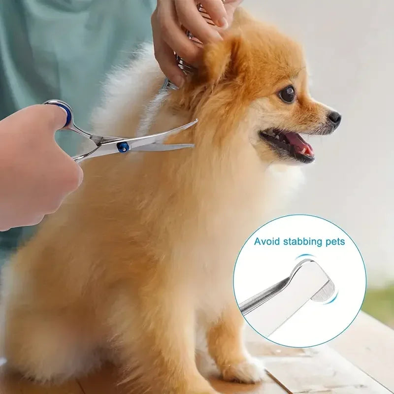 Ambidextrous Pet Safe Scissors Stainless Steel Dog Grooming Shears with round Head for Precision Trimming Zpaxo