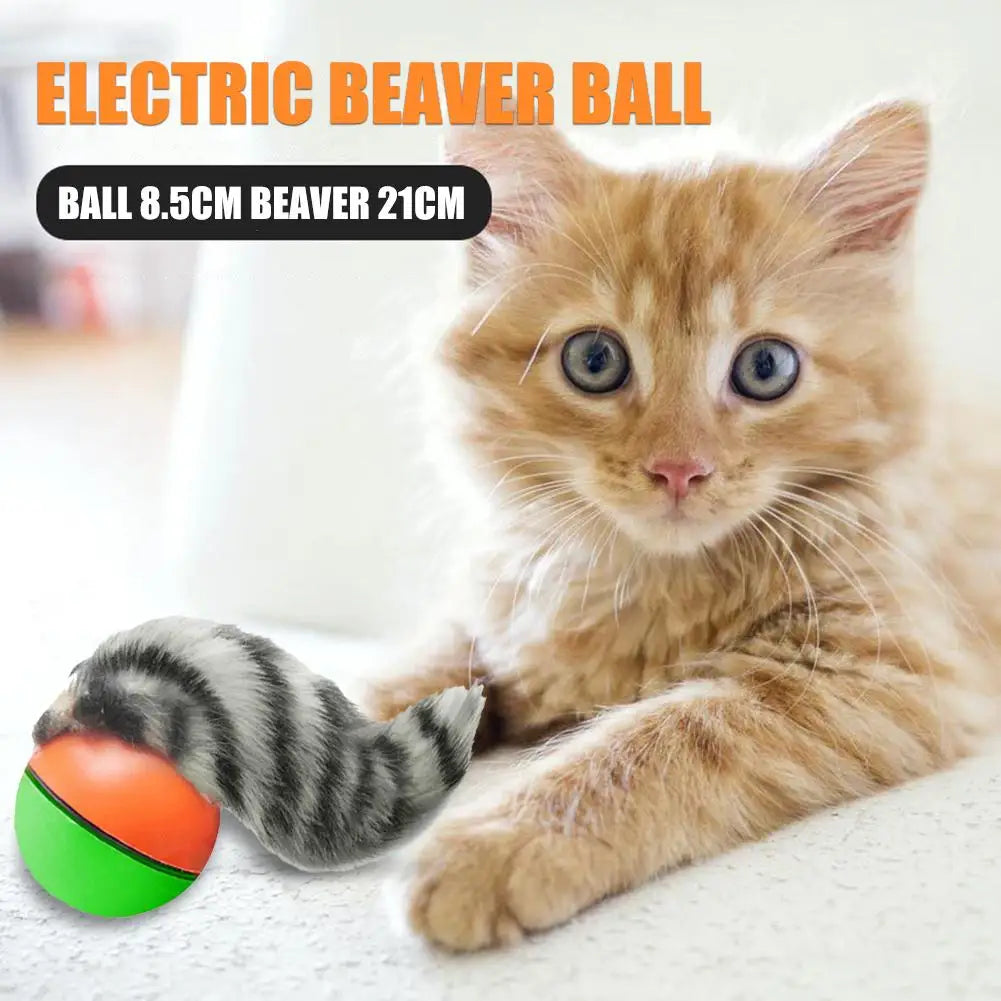 Electric Beaver Weasel Rolling Ball Pet Dog Cat Interactive Chasing Zpaxo Default Title