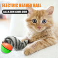 Electric Beaver Weasel Rolling Ball Pet Dog Cat Interactive Chasing Toys Random Traning Dogs Agility Toys Supplies Zpaxo Default Title