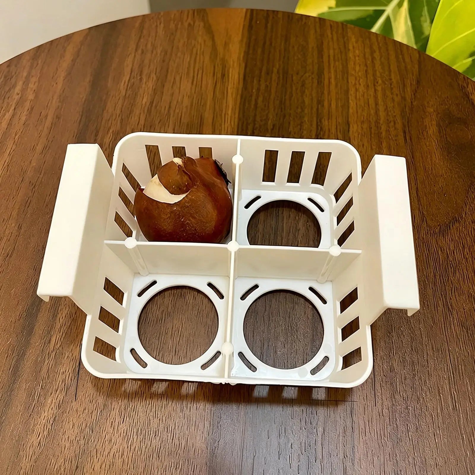 4 Grids Hydroponics Nurserys Pots Planter Containers Clear Tulips Planter Plastic Square Planting Basket Indoor Gardening Zpaxo