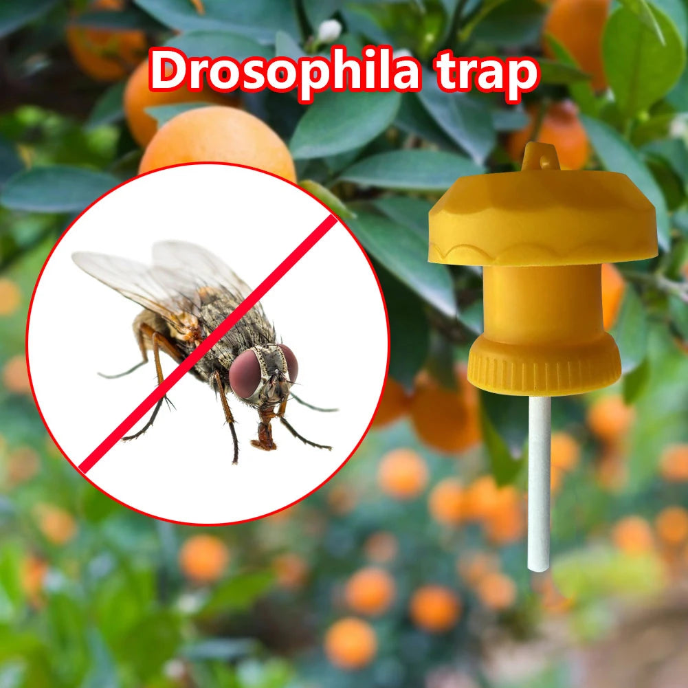 1-50Pcs Fruit Plastic Drosophila Catcher Pest Insect Control Fly Trap Killer Cover For Home Farm Orchard Pest Control Tools Zpaxo