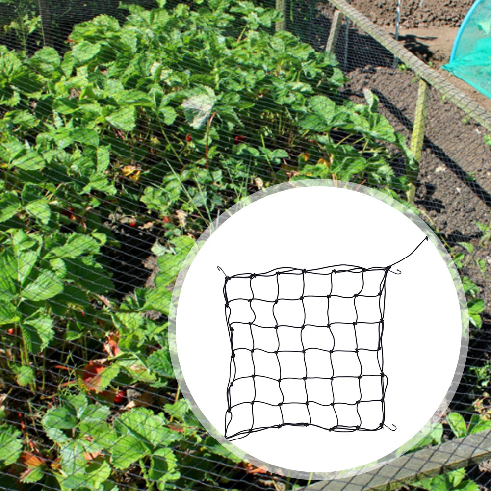 Stretch Net Polyester Supporting Equipment Pressed Branch Removable