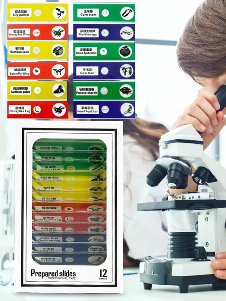 Educational Mini Handheld Microscope with LED Light Battery Powered Kid Science Experiment Pocket Microscope Kids Science Toy Zpaxo