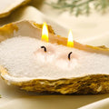 10-Color Pearl Sand Wax Particles – Ice Flower Candle Making Kit Candle Making Wax Zpaxo white 20g